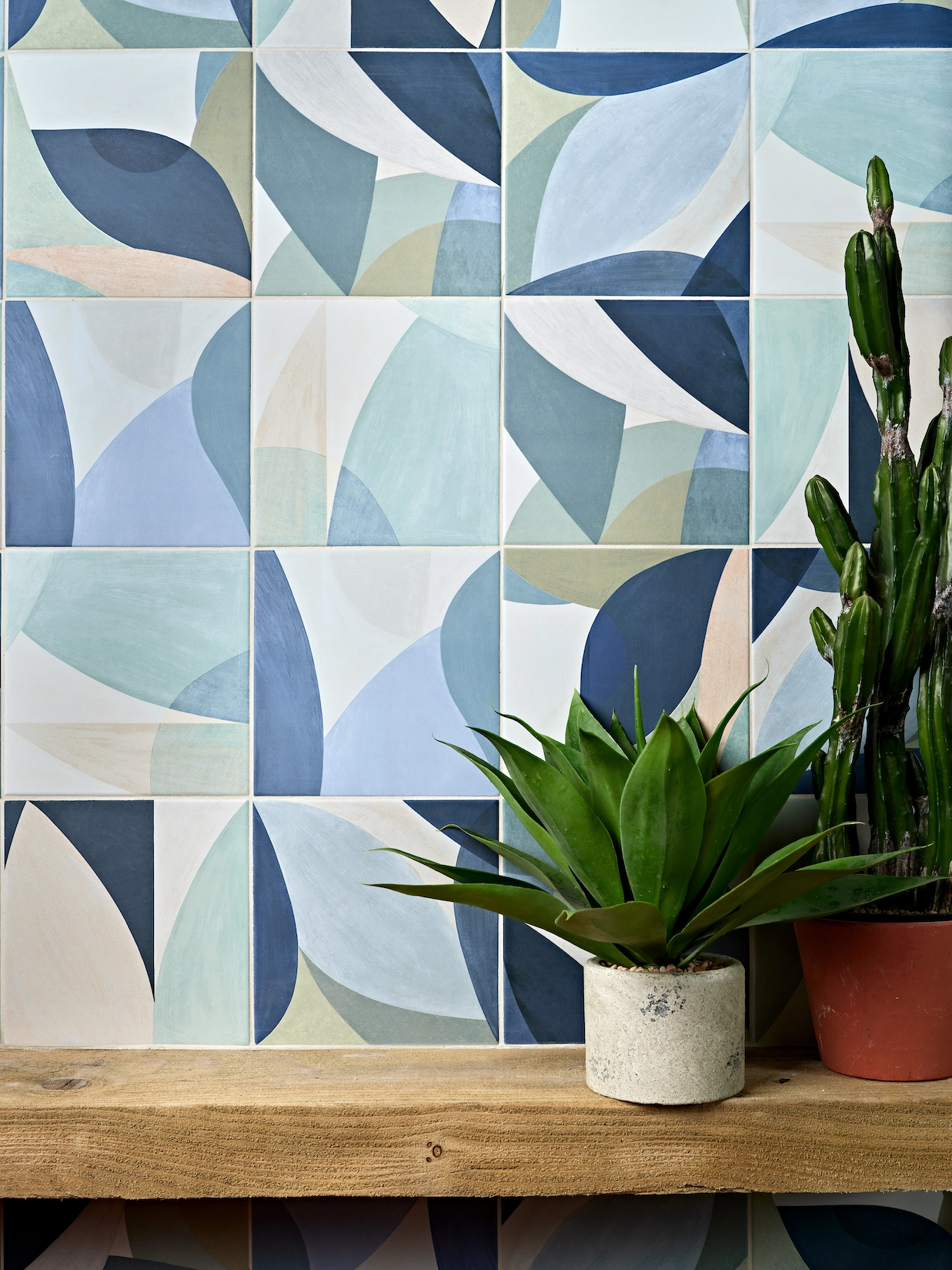Blue patterned wall tiles with timber shelf and plants